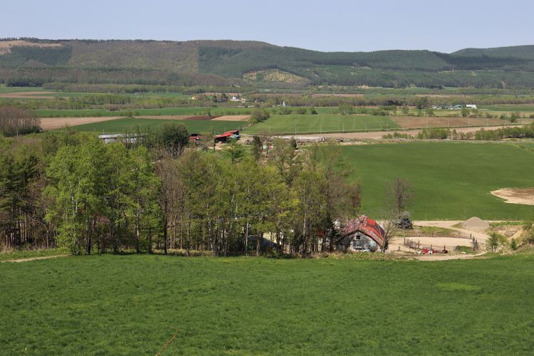 Rikubetsu yang jadi daerah paling dingin di Hokkaido (hokkaido-treasure.com).