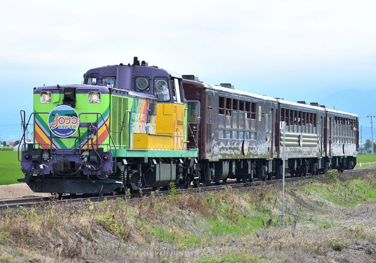 Penampilan kereta Furano Biei Norokko Train (JR Hokkaido)