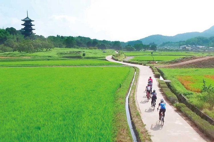 Bersepeda di Kibi Plain dengan pemandangan hamparan sawah dan kuil (Setouchi Velo).