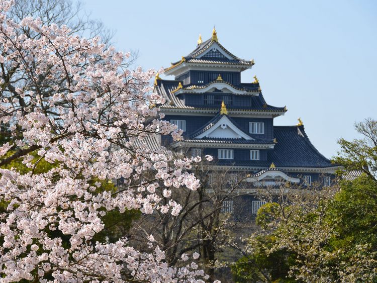 Okayama Castle dengan gaya arsitektur era Azuchi-Momoyama yang khas.