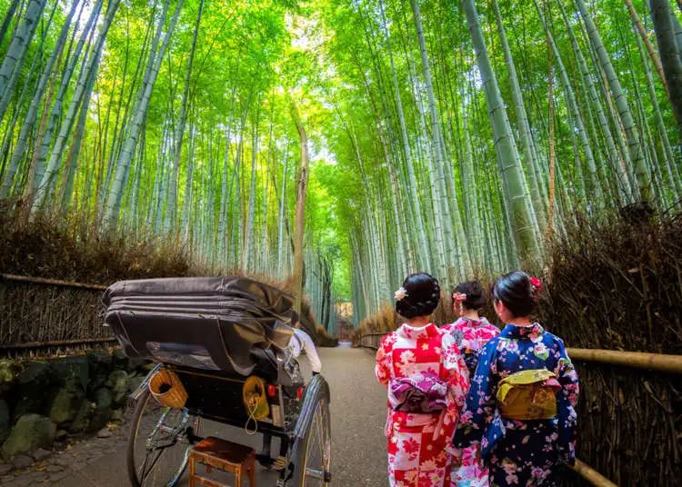 Tur becak di Arashiyama dikelilingi hutan bambu (Live Japan)