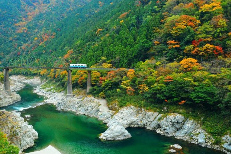 Keindahan ngarai Oboke dan Koboke (shikoku-tourism.com).