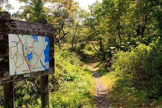 Jalur trekking di Goshikiuma (Fukushima Travel)