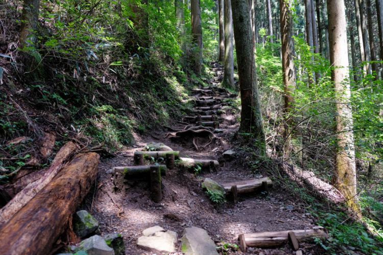 Jalur trekking Rock Garden (JR Pass)