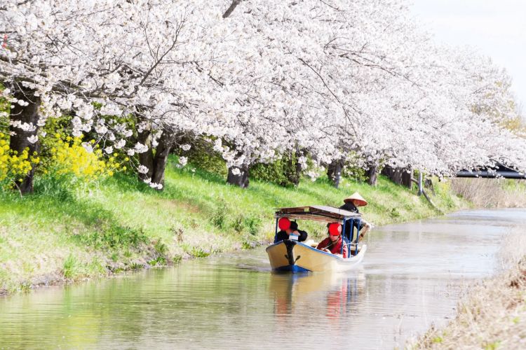 Keseruan naik perahu menjelajahi kanal di Omihachiman (The Kansai Guide).