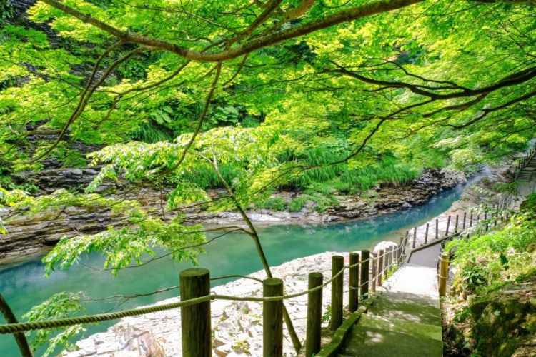 Sungai di Ngarai Oyasu yang dapat dilalui lewat jembatan dan jalan setapak (ZEKKEI Japan).