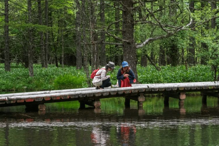 Tateshima Gosensui Nature Park (Nagano Trip)