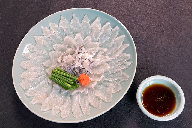 Sashimi Ikan fugu