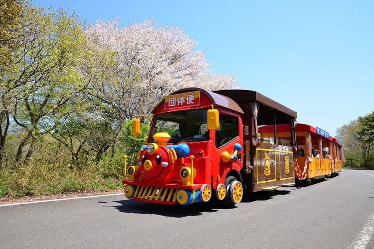 Seaside Train yang membawamu berkeliling tanpa kelelahan (hitachikaihin.jp).