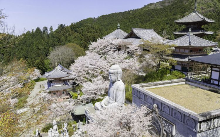 Tsubosaka-dera dinobatkan sebagai salah satu kuil terindah di Jepang.