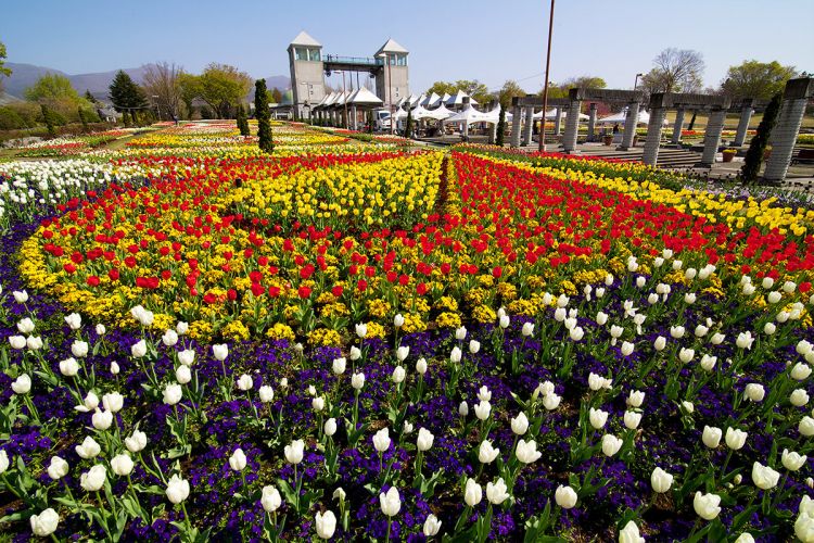 Gunma Flower Park