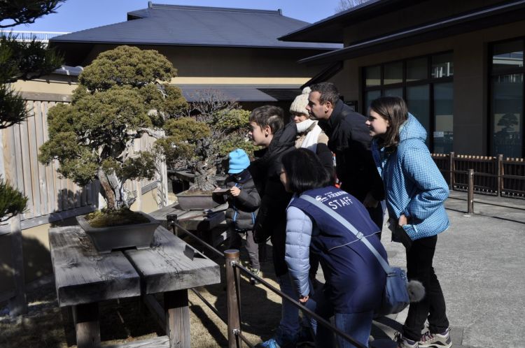 Para pengunjung yang menikmati keindahan bonsai (bonsai-art-museum.jp).