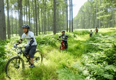 Bersepeda di tengah hutan