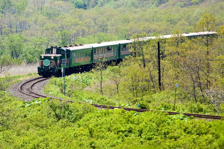 Kereta wisata Kushiro Shitsugen Norokko (Visit Hokkaido).