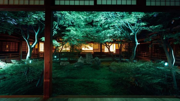 Menikmati kedamaian zen di Kuil Kennin-ji (Zen Night Walk Kyoto Official Site)