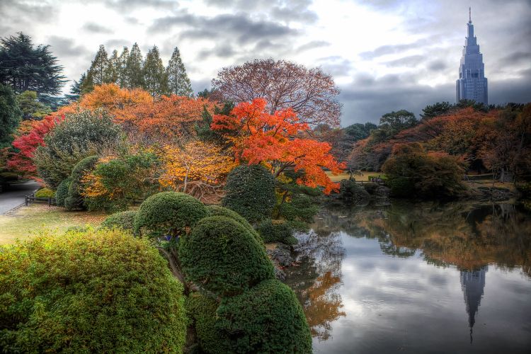 Pesona musim gugur di Shinjuku Gyoen (Tokyofashion/Flickr)