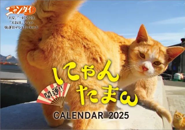 Kalender Nyantama yang siap menemani hari-harimu tahun depan.