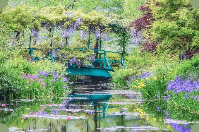 Area Water Garden di Monet's Garden Marmottan (kjmonet.jp).