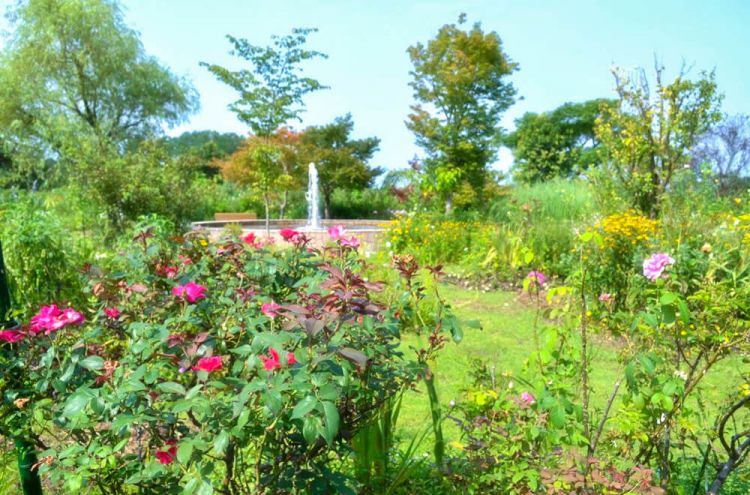 Kendahan pemandangan bunga yang ada di Flower Garden (kjmonet.jp).