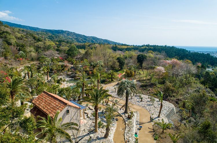 Bordighera Garden yang melambangkan kecintaan Monet pada alam dan laut (kjmonet.jp).