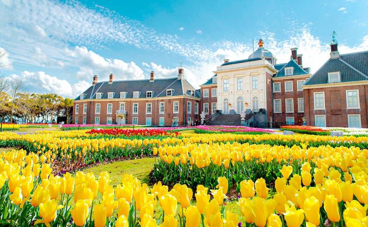 Bunga-bunga tulip bermekaran di Huis Ten Bosch (Discover Nagasaki)