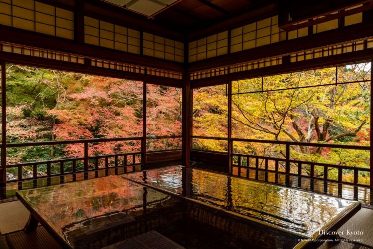 lokasi terbaik untuk melihat dedaunan musim gugur di Kyoto