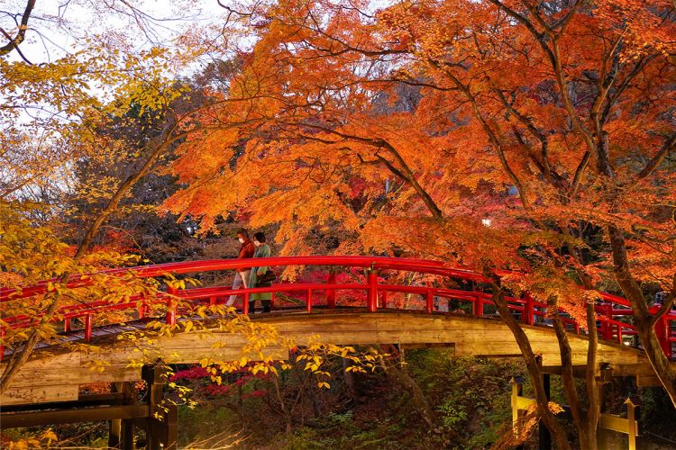 KItaikyo Bridge yang diselimuti dedaunan musim gugur (Visit Gunma).