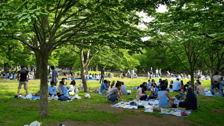 Aktivitas seru Yoyogi Park.