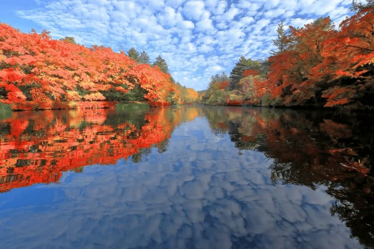 Suasana musim gugur di Karuizawa (JNTO)