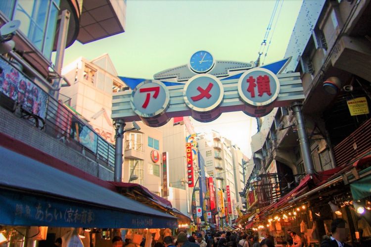 Ameyoko, distrik belanja di Okachimachi (Japan Web Magazine)