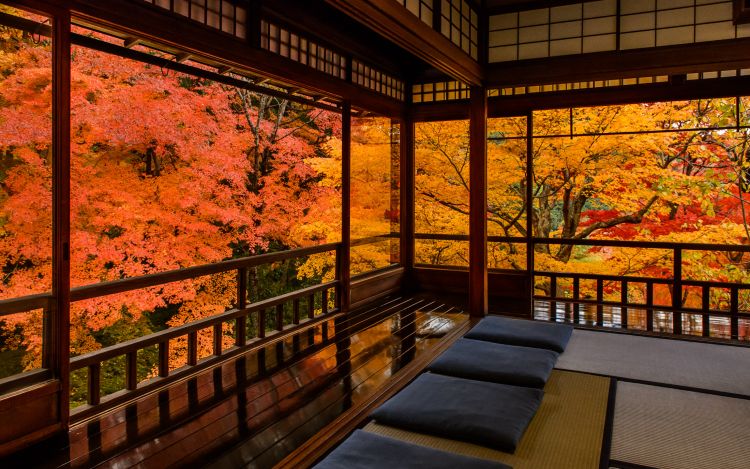 Ruriko-in Temple Autumn Opening.