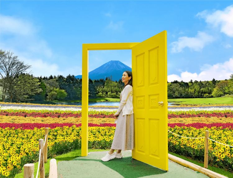 Yellow door of happiness, salah satu spot foto favorit di Fuji Motosuko Resort (PR Times)