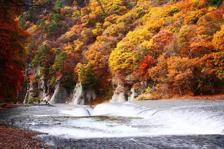 Air Terjun Fukiware di Gunma memiliki pemandangan indah saat musim gugur (Visit Gunma)