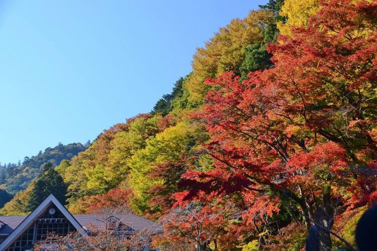 Musim gugur di Gunung Takao (Mount Takao Magazine)