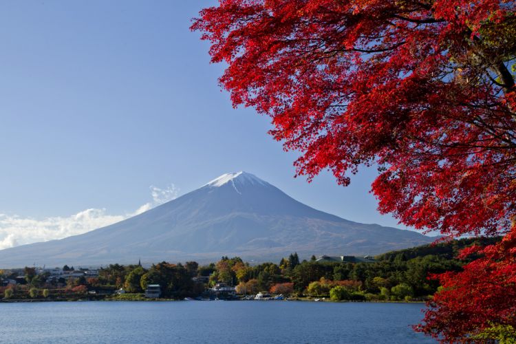 Danau Kawaguchiko di musim gugur (en.kawaguchiko.net)