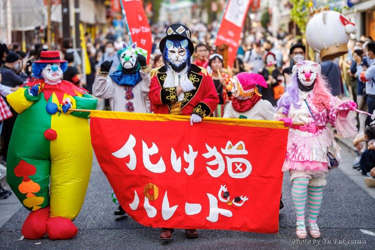 Bake Neko Festival.