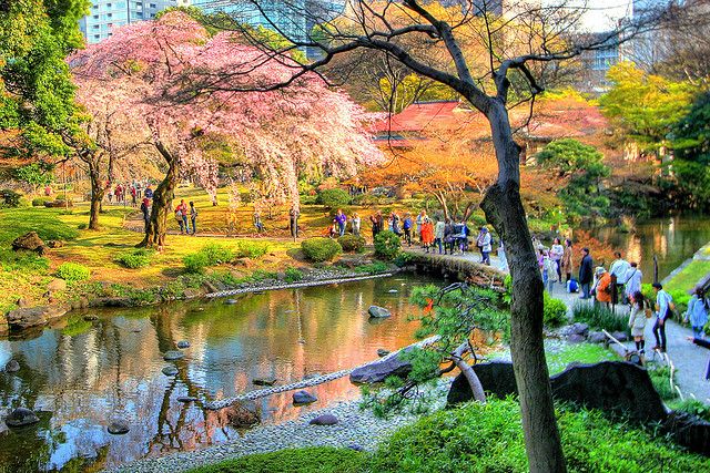 Koishikawa Korakuen Garden.