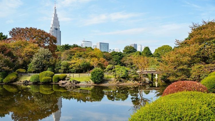 Shinjuku Gyoen.