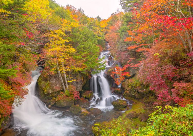 Air Terjun Ryuzu di Nikko menawarkan pemandangan musim gugur yang sempurna