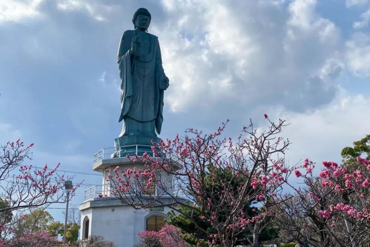 Nagahama Biwako Daibutsu.