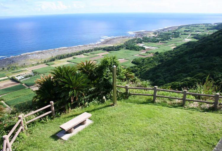 Ladang tebu di Pulau Kikaijima (Visit Kyushu)