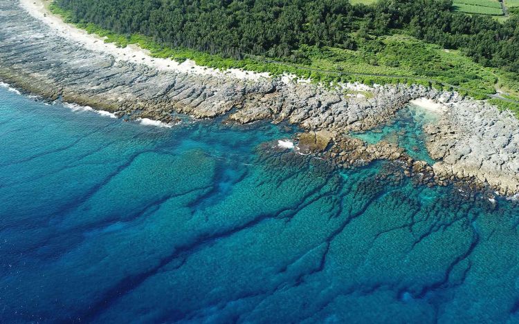 Teras terumbu karang Holosen di Pulau Kikaijima (IUGS-Geoheritage.org)