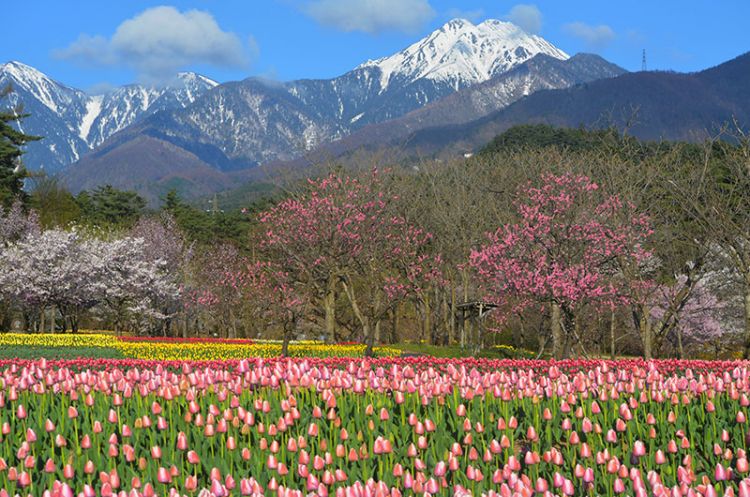 Alps Azumino National Government Park