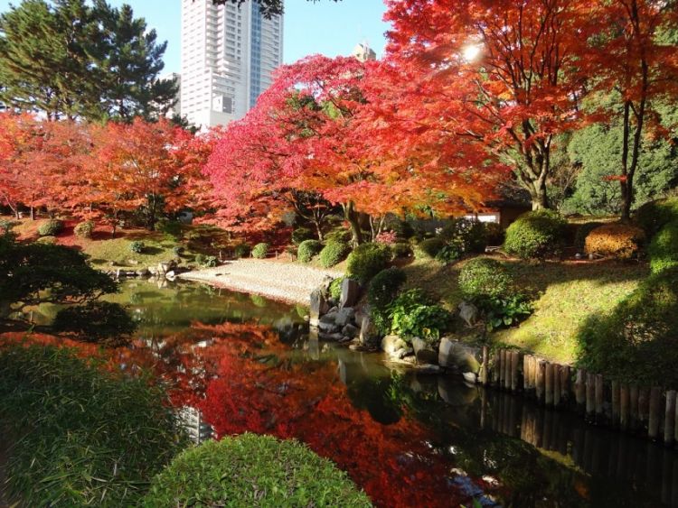 Shukkei-en Garden.