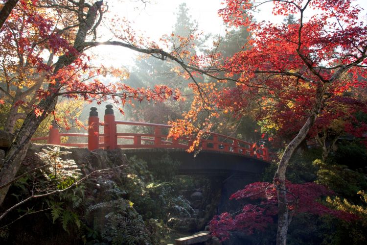 Momijidani Park.