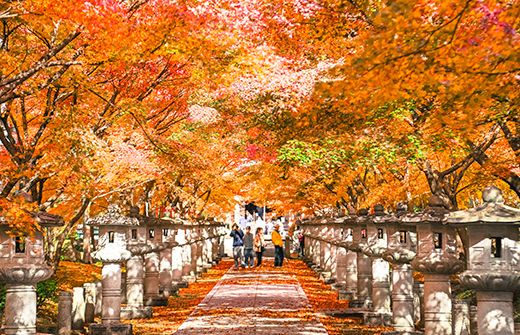 Kosanji Temple.