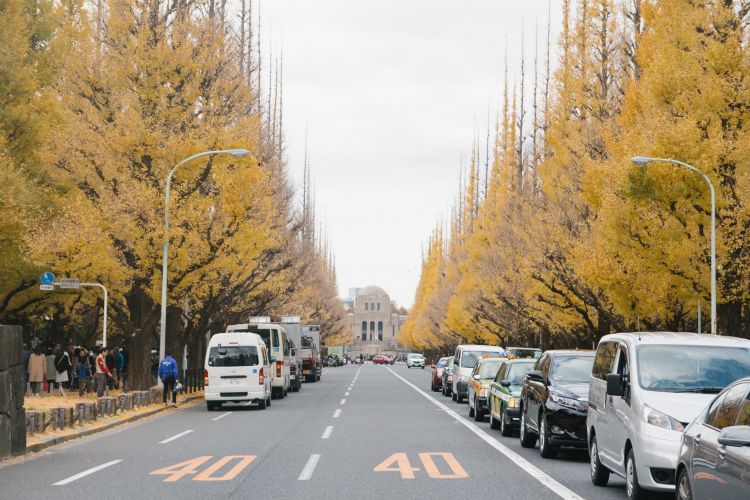 Meiji Jingu Gaien Ginkgo Avenue