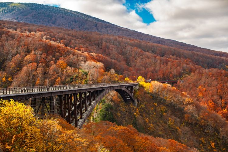 Jembatan Jogakura Ohashi di musim gugur (Amazing Aomori)