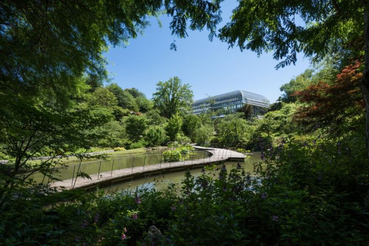 Makino Botanical Garden