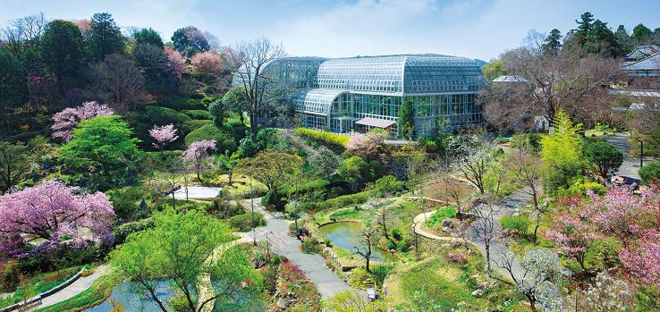 Makino Botanical Garden